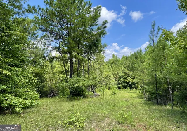 Photo 2 of Land for sale at 460 Welcome To Arnco Rd, Newnan, GA 30263 | MLS# 10350080 | Listing updated on 2026-06-02
