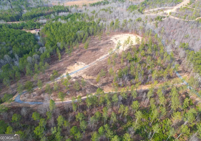 Homes for sale in Lyerly, GA | 17 +/  Acres On Josh Ward Road, Lyerly, GA 30730 | MLS# 10801570