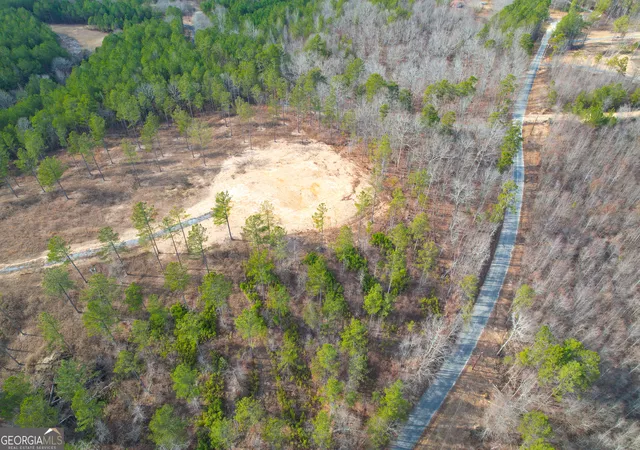 Homes for sale in Lyerly, GA | 17 +/- Acres On Josh Ward Road, Lyerly, GA 30730 | MLS# 10801570