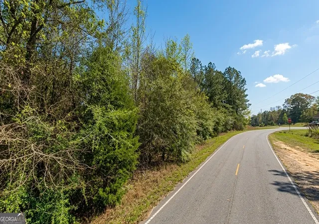 Homes for sale in Tuskegee, AL | 0 Old Franklin Road, Tuskegee, AL 36083 | MLS# 10801435