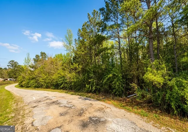 Homes for sale in Tuskegee, AL | 0 Old Franklin Road, Tuskegee, AL 36083 | MLS# 10801435