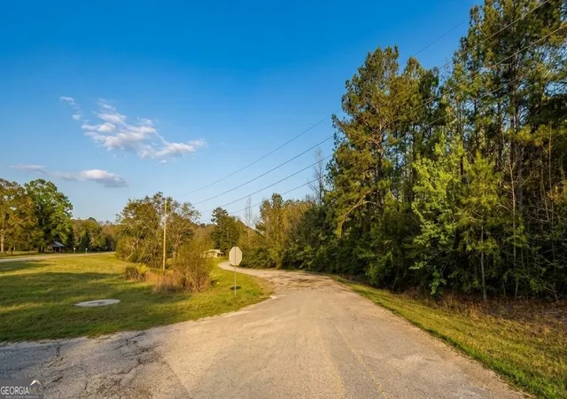 Homes for sale in Tuskegee, AL | 0 Old Franklin Road, Tuskegee, AL 36083 | MLS# 10801435