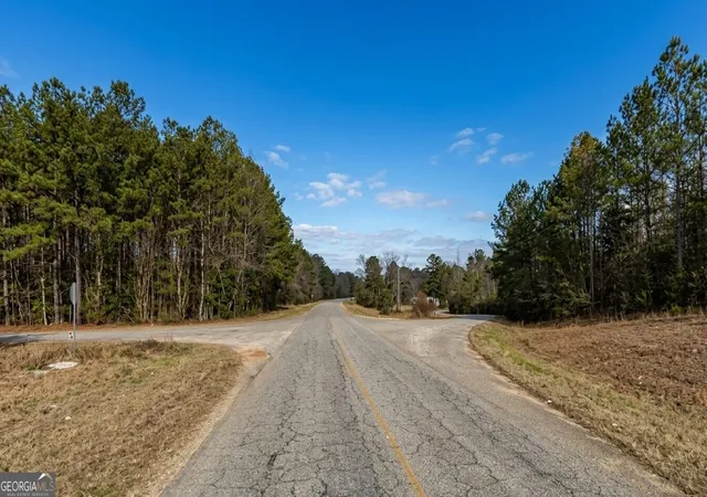 Homes for sale in Tuskegee, AL | 0 Old Franklin Road, Tuskegee, AL 36083 | MLS# 10801435