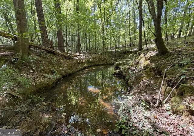 Photo 3 of Land for sale at 277 Pettigrew Rd Nw, Milledgeville, GA 31061 | MLS# 10830149 | Listing updated on 2026-09-03
