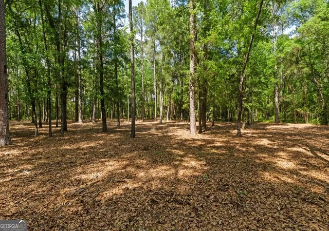 Homes for sale in Albany, GA | 2 Coakley And Slade Ave, Albany, GA 31721 | MLS# 10740238