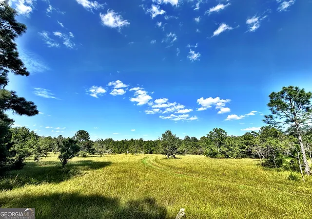 Photo 1 of Land for sale at 1721 Hwy 49, Byron, GA 31008 | MLS# 10832797 | Listing updated on 2026-08-29