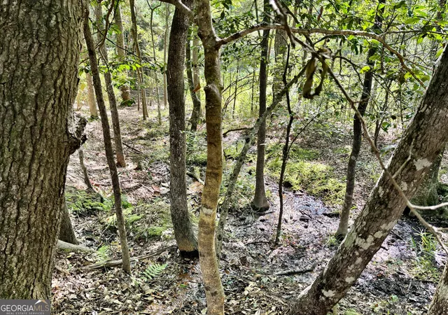 Photo 35 of Land for sale at 1721 Hwy 49, Byron, GA 31008 | MLS# 10832797 | Listing updated on 2026-08-29