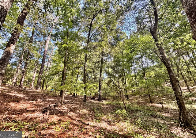 Photo 3 of Land for sale at 1721 Hwy 49, Byron, GA 31008 | MLS# 10832797 | Listing updated on 2026-08-29