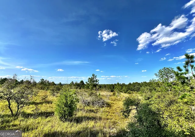 Photo 4 of Land for sale at 1721 Hwy 49, Byron, GA 31008 | MLS# 10832797 | Listing updated on 2026-08-29