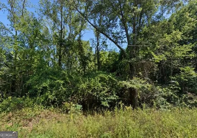 2nd image of 0 Mccullars Dr #LOT 4, Weaver, AL 36277 | MLS# 10810499