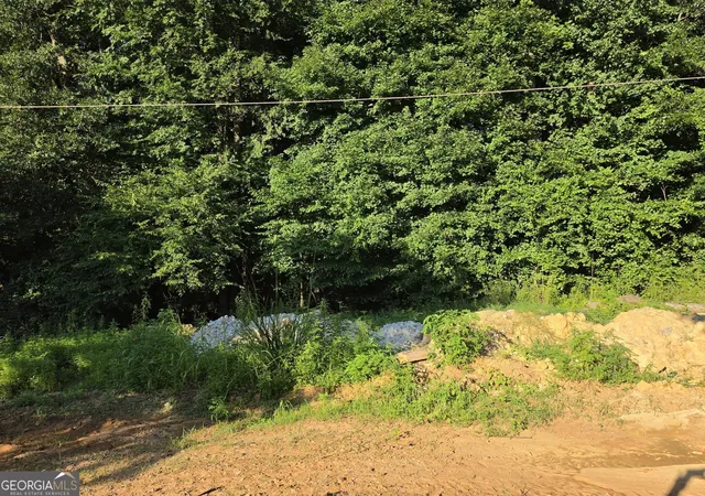 Photo 3 of Land for sale at 0 Maxham Rd, Austell, GA 30168 | MLS# 10802819 | Listing updated on 2026-09-17