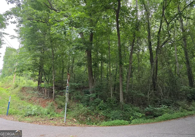 2nd image of Lot 109 Arrowhead Dr, Lavonia, GA 30553 | MLS# 10777100