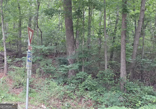 Photo 3 of Land for sale at Lot 109 Arrowhead Dr, Lavonia, GA 30553 | MLS# 10777100 | Listing updated on 2026-06-16