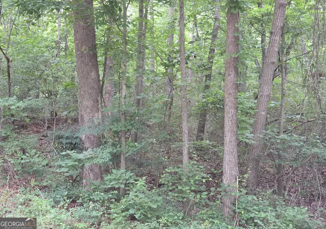 Photo 3 of Land for sale at Lot 109 Arrowhead Dr, Lavonia, GA 30553 | MLS# 10777100 | Listing updated on 2026-06-16