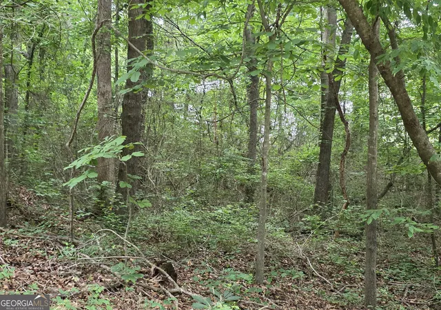 Photo 4 of Land for sale at Lot 109 Arrowhead Dr, Lavonia, GA 30553 | MLS# 10777100 | Listing updated on 2026-06-16