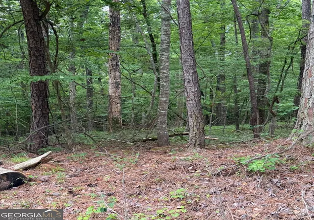 1st image of Lot 177 Laurel Wy, Sparta, GA 31087 | MLS# 10815171