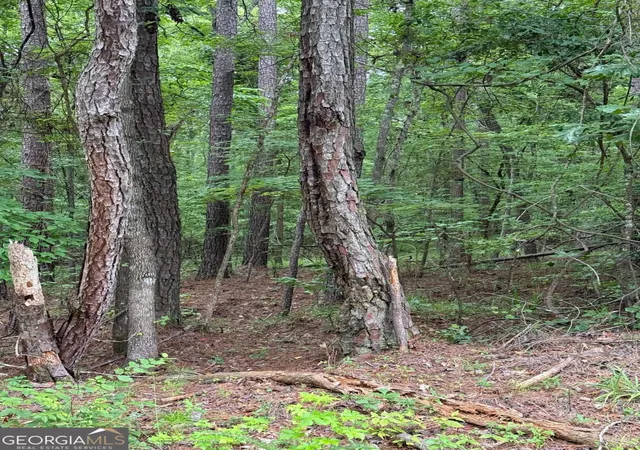 2nd image of Lot 177 Laurel Wy, Sparta, GA 31087 | MLS# 10815171