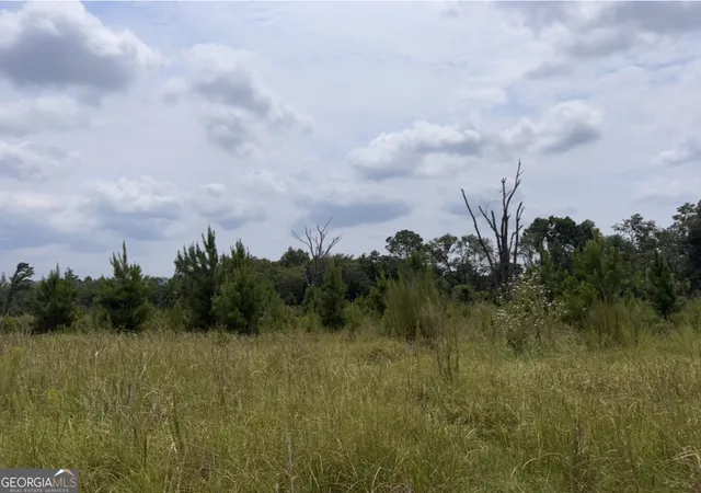1st image of 0 Rose Holw Rd, Lyons, GA 30436 | MLS# 10819126