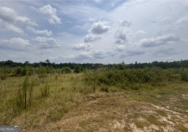 2nd image of 0 Rose Holw Rd, Lyons, GA 30436 | MLS# 10819126