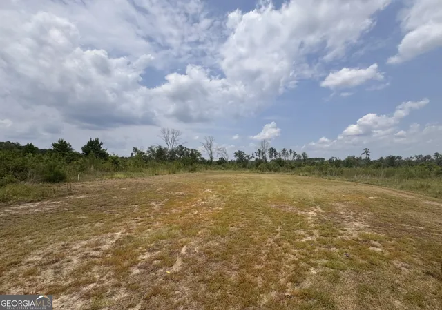 Photo 3 of Land for sale at 0 Rose Holw Rd, Lyons, GA 30436 | MLS# 10819126 | Listing updated on 2026-10-05