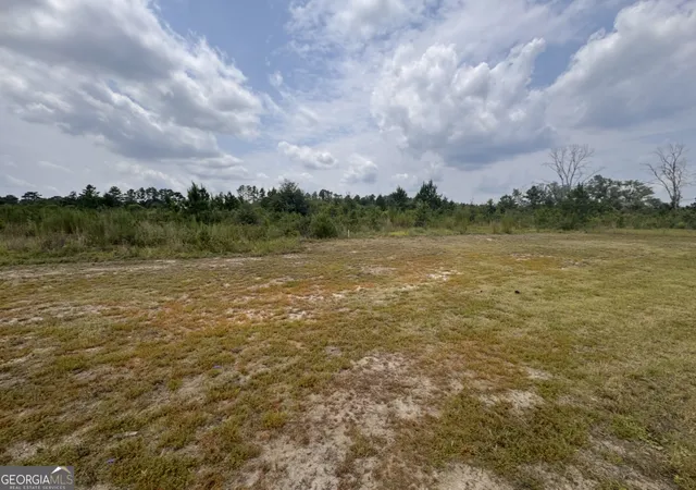 4th image of 0 Rose Holw Rd, Lyons, GA 30436 | MLS# 10819126