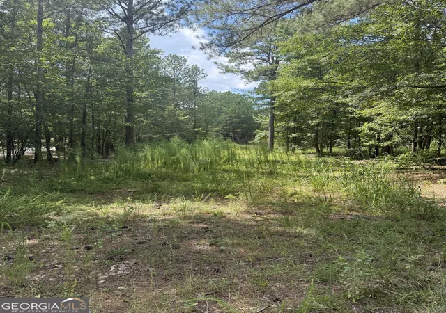 Photo 2 of Land for sale at 460 Yarbrough Mill Rd, Locust Grove, GA 30248 | MLS# 10834907 | Listing updated on 2026-09-11