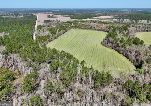 1st image of Tract 6 Ingram Rd, Odum, GA 31555 | MLS# 10720984