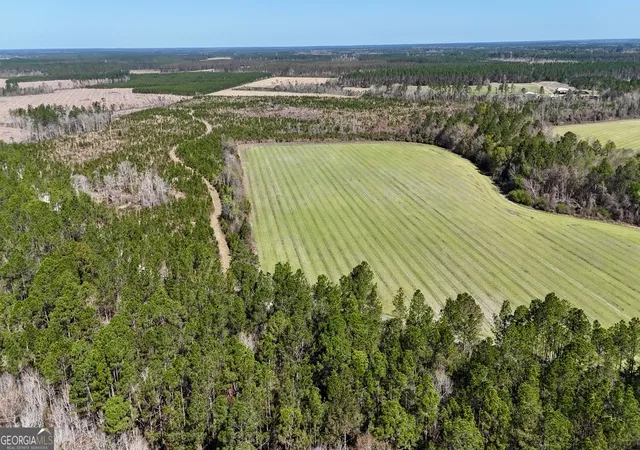 2nd image of Tract 6 Ingram Rd, Odum, GA 31555 | MLS# 10720984
