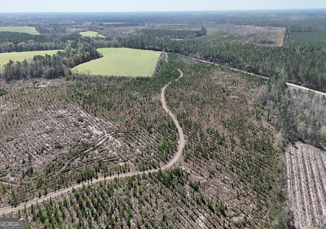Photo 3 of Land for sale at Tract 6 Ingram Rd, Odum, GA 31555 | MLS# 10720984 | Listing updated on 2026-08-15