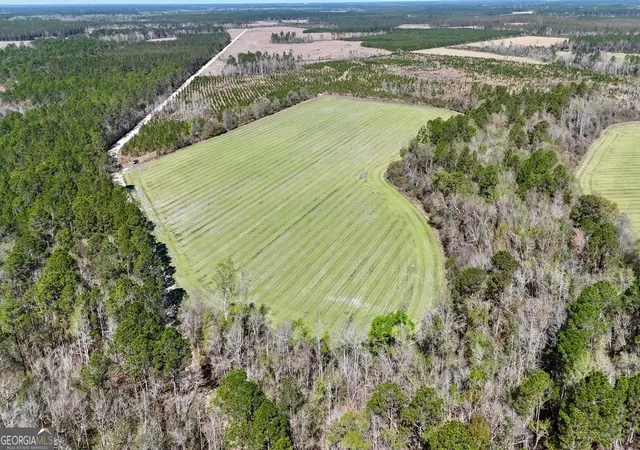 Photo 3 of House for sale at Tract 6 Ingram Rd, Odum, GA 31555 | MLS# 10720984 | Listing updated on 2026-08-15