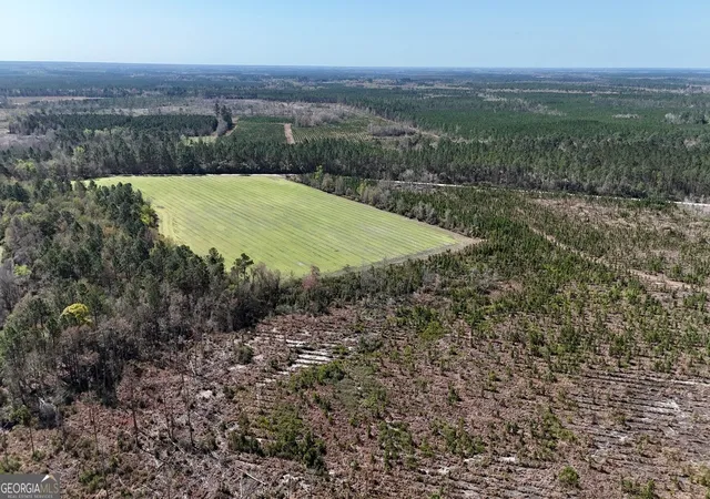 5th image of Tract 6 Ingram Rd, Odum, GA 31555 | MLS# 10720984
