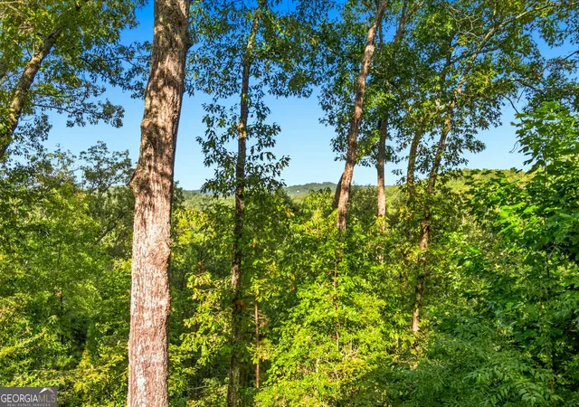 4th image of 142 Oak Hill Dr, Mineral Bluff, GA 30559 | MLS# 10832097