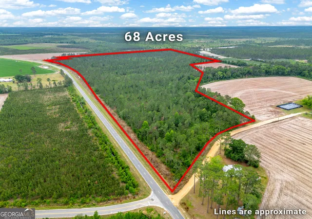 Homes for sale in Nicholls, GA | 110 Lees Chapel Rd, Nicholls, GA 31554 | MLS# 10763481