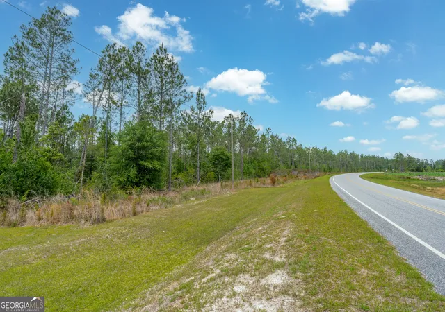 Homes for sale in Nicholls, GA | 110 Lees Chapel Rd, Nicholls, GA 31554 | MLS# 10763481