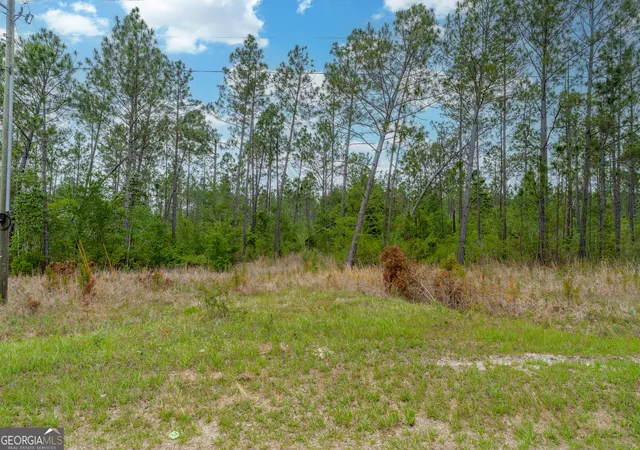 Homes for sale in Nicholls, GA | 110 Lees Chapel Rd, Nicholls, GA 31554 | MLS# 10763481