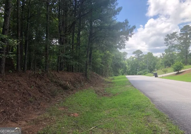3rd image of 1860 Northwoods Dr, Greensboro, GA 30642 | MLS# 10796790