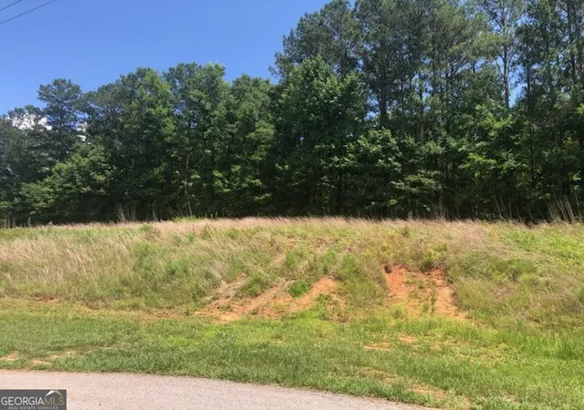 5th image of 1860 Northwoods Dr, Greensboro, GA 30642 | MLS# 10796790