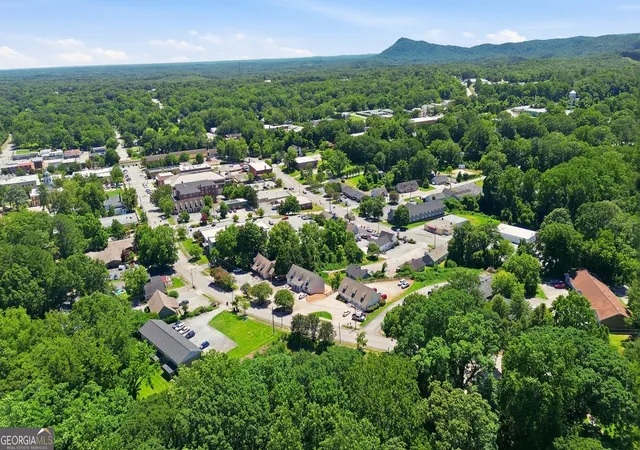 Homes for sale in Toccoa, GA | 162 Falls Rd, Toccoa, GA 30577 | MLS# 10794597