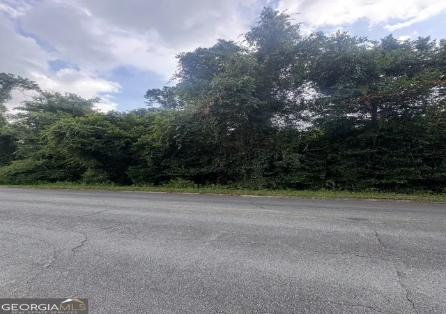 Photo 1 of Land for sale at 222 Acres Semi Seminole Trl, Waycross, GA 31503 | MLS# 10818180 | Listing updated on 2026-08-17