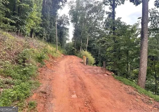 4th image of Lot 11 Firetower Rd, Jasper, GA 30143 | MLS# 10819433
