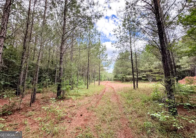 25th image of 0 Goolsby Rd #52.4 ACRES, Monticello, GA 31064 | MLS# 10772416