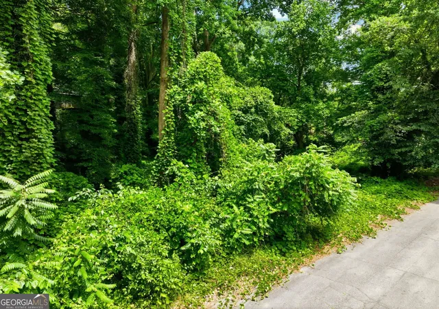 Photo 4 of Land for sale at 0 Spring Ln NW, Atlanta, GA 30314 | MLS# 10783368 | Listing updated on 2026-07-20