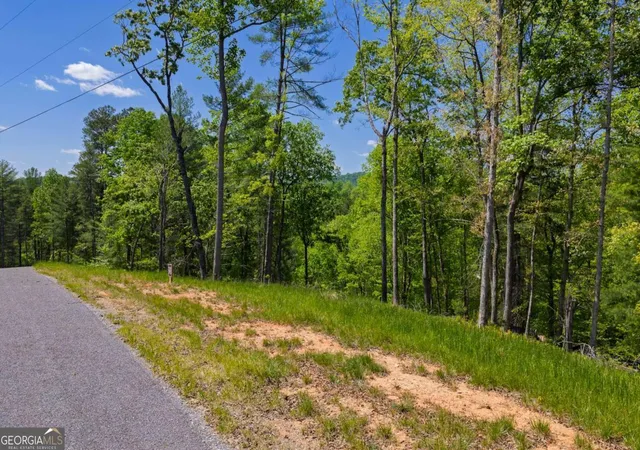 3rd image of Lot 343 Shallow Branch Dr, Jasper, GA 30143 | MLS# 10737502