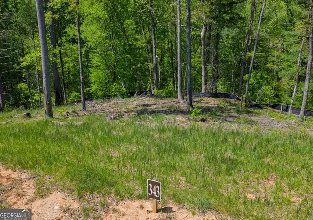 4th image of Lot 343 Shallow Branch Dr, Jasper, GA 30143 | MLS# 10737502