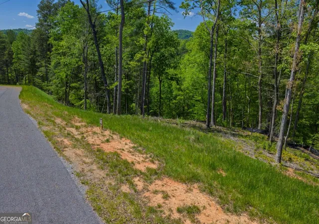 5th image of Lot 343 Shallow Branch Dr, Jasper, GA 30143 | MLS# 10737502