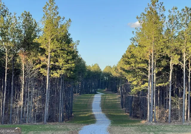 Photo 1 of Land for sale at 92 Lillian Strong Rd, Carlton, GA 30627 | MLS# 10832977 | Listing updated on 2026-08-26