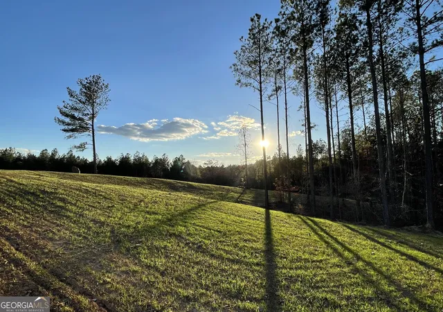 Photo 2 of Land for sale at 92 Lillian Strong Rd, Carlton, GA 30627 | MLS# 10832977 | Listing updated on 2026-08-26