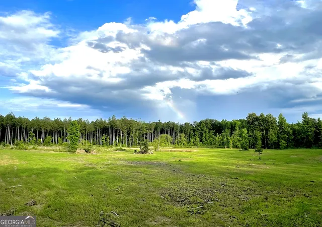 Photo 2 of Land for sale at 92 Lillian Strong Rd, Carlton, GA 30627 | MLS# 10832977 | Listing updated on 2026-08-26