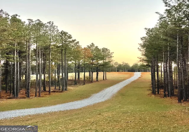 Photo 4 of Land for sale at 92 Lillian Strong Rd, Carlton, GA 30627 | MLS# 10832977 | Listing updated on 2026-08-26