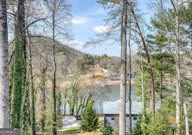 Photo 4 of Single family home for sale at 390 Bursey Road, Hiawassee, GA 30546 | MLS# 10833373 | Listing updated on 2026-09-30